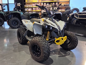 Can-Am renegade