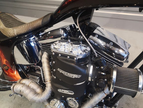 Harley-Davidson Softail