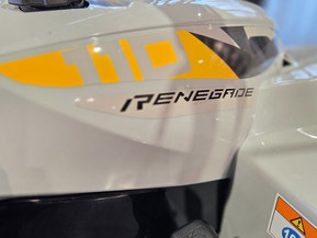 Can-Am renegade