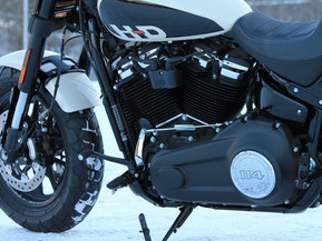 Harley-Davidson Softail