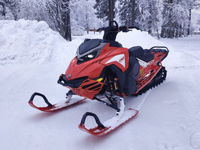 Lynx Shredder