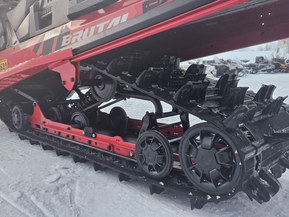 Lynx Brutal RE 500 MM