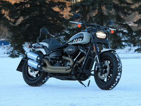 Harley-Davidson Softail