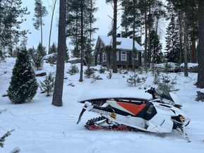 Arctic Cat XF