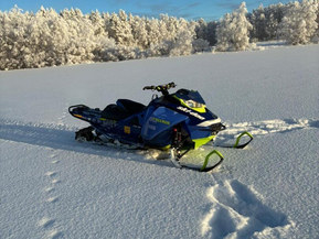 Ski-Doo Freeride
