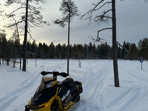 Ski-Doo MX Z