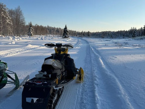 Ski-Doo MX Z