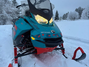 Ski-Doo Freeride