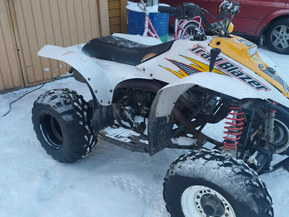 Polaris Trail Blazer