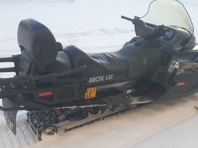 Arctic Cat Panther