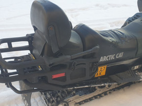 Arctic Cat Panther