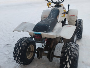 Polaris Trail Blazer