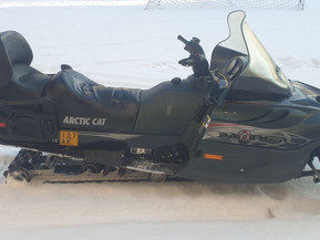 Arctic Cat Panther