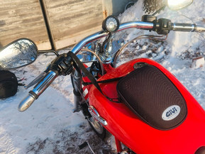 Harley-Davidson Softail