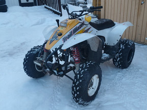 Polaris Trail Blazer