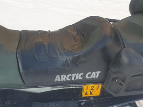 Arctic Cat Panther