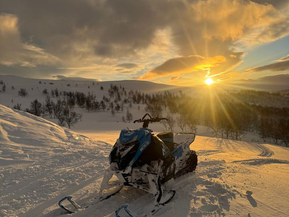 Arctic Cat Mountain Cat