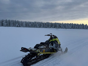 Ski-Doo Freeride