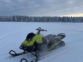 Ski-Doo Freeride