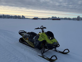 Ski-Doo Freeride