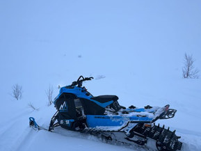 Arctic Cat Mountain Cat