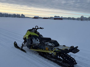 Ski-Doo Freeride