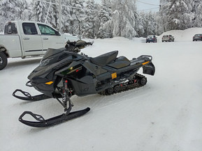 Ski-Doo Renegade