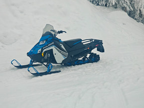 Polaris Nordic Pro