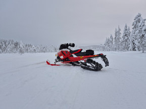 Ski-Doo Backcountry