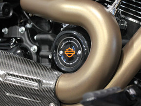 Harley-Davidson Softail