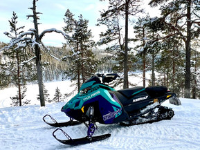 Polaris SwitchBack