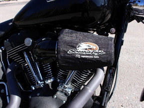 Harley-Davidson Softail