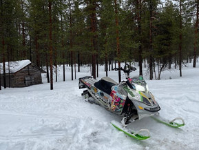 Ski-Doo Freeride