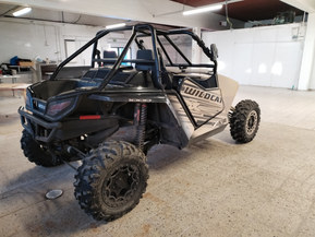 Arctic Cat Wildcat