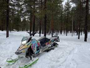 Ski-Doo Freeride