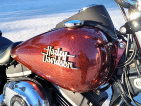 Harley-Davidson Dyna