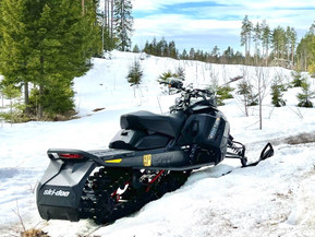 Ski-Doo Renegade