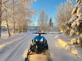 Arctic Cat Mountain Cat