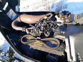 Arctic Cat Mountain Cat