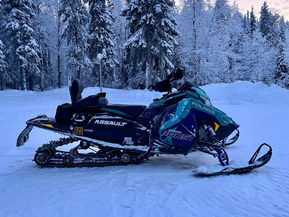 Polaris SwitchBack