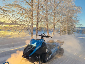 Arctic Cat Mountain Cat