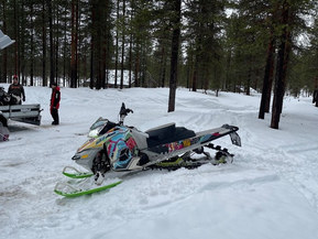 Ski-Doo Freeride