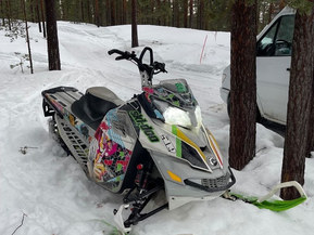 Ski-Doo Freeride