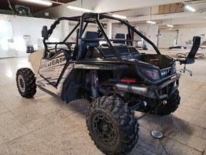 Arctic Cat Wildcat