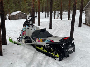 Ski-Doo Freeride