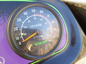 Arctic Cat Mountain Cat