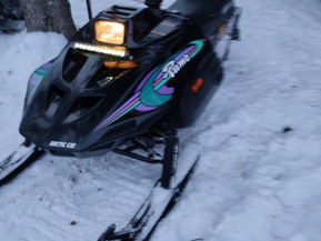 Arctic Cat Puma