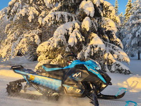 Arctic Cat Mountain Cat