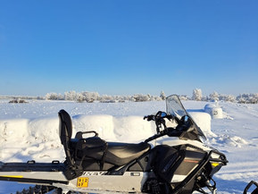 Ski-Doo Expedition