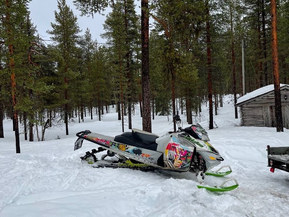 Ski-Doo Freeride